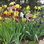 فندق مبيت وإفطار La Grange D'helene
