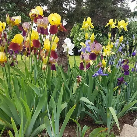 Bed and breakfast La Grange D'hélène