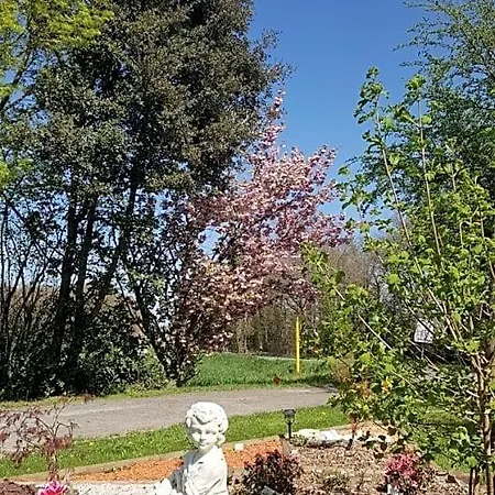 Bed & Breakfast La Grange D'helene Cholet