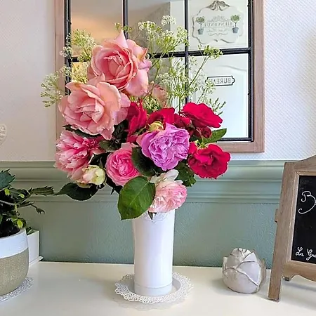 La Grange D'helene Bed & Breakfast Cholet