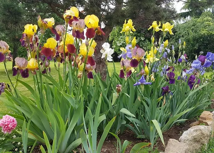 Bed & Breakfast La Grange D'hélène